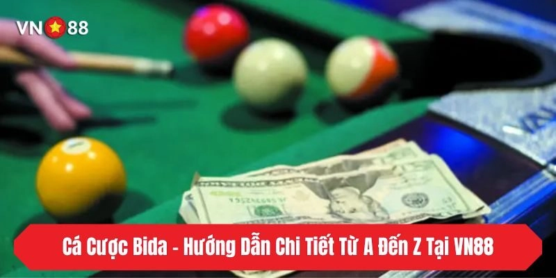Cá Cược Bida – Hướng Dẫn Chi Tiết Từ A Đến Z Tại VN88